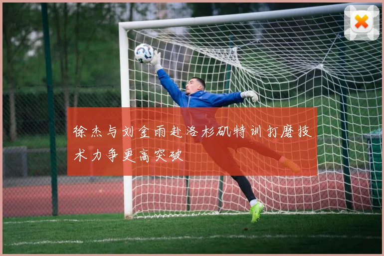 徐杰与刘金雨赴洛杉矶特训打磨技术力争更高突破