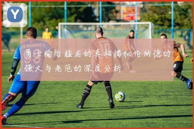 勇士输给猛龙的真相揭秘伦纳德的强大与老范的深度分析